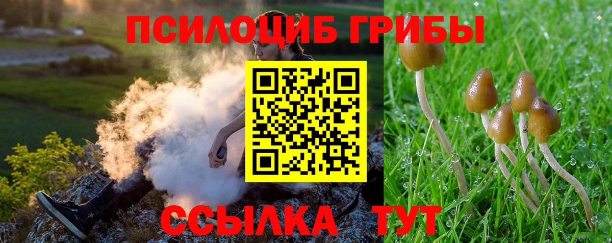 Псилоцибиновые грибы MAGIC MUSHROOMS  Галлюциногенные грибы мухоморы  Заинск  Вход с VPN 